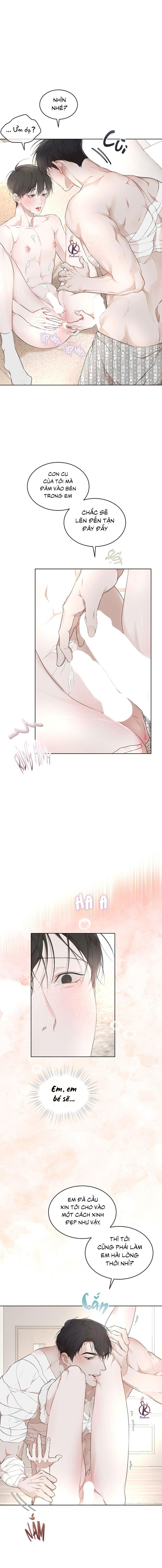 hình thái khởi sinh chapter 66 5