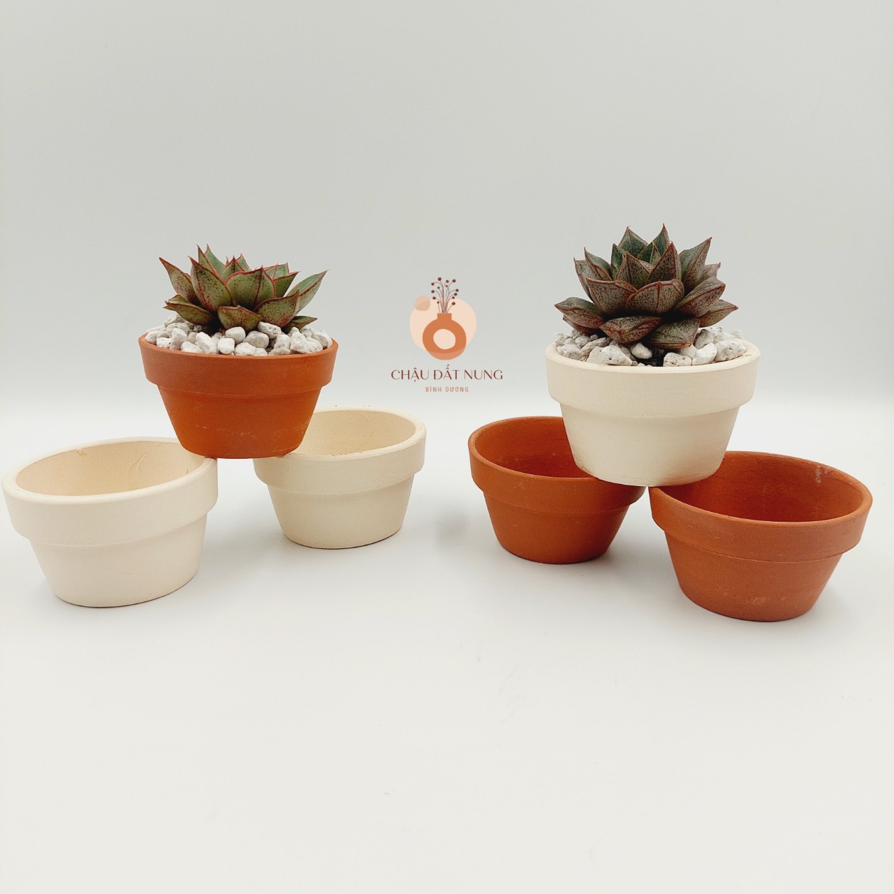 Chậu đất nung, chậu sen đá, xương rồng - Ly gờ 74, miệng chậu 7cm, chiều cao 4cm