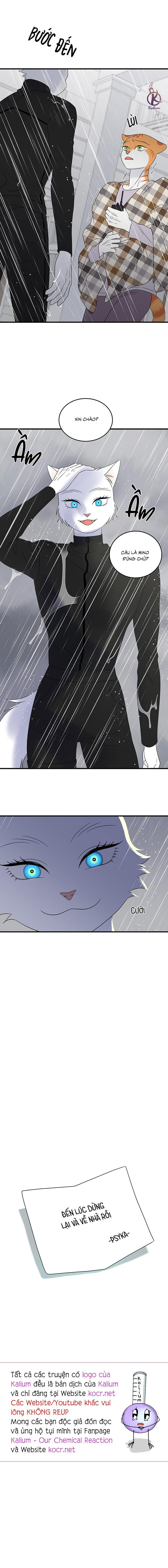 dự án xanh chapter 57 17