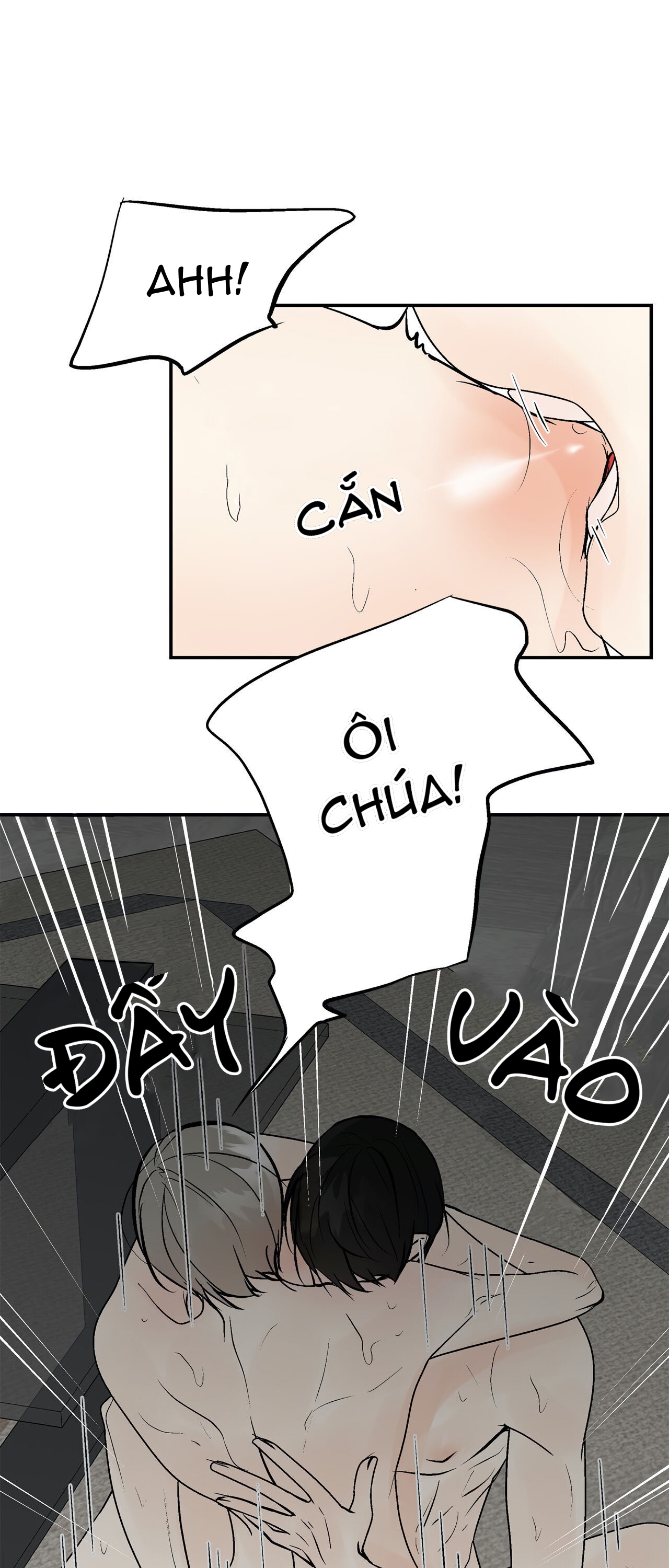 trú ẩn - haven chapter 8 12