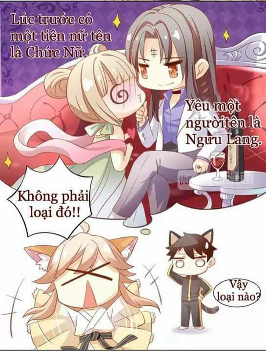 dưới móng vuốt mèo chapter 9 7