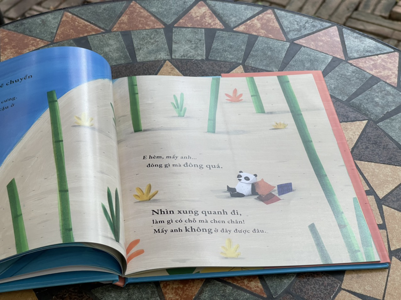 CẬU LUÔN ĐƯỢC ĐÓN CHÀO - Barroux - Hà Thy dịch - Crabit Kidbooks