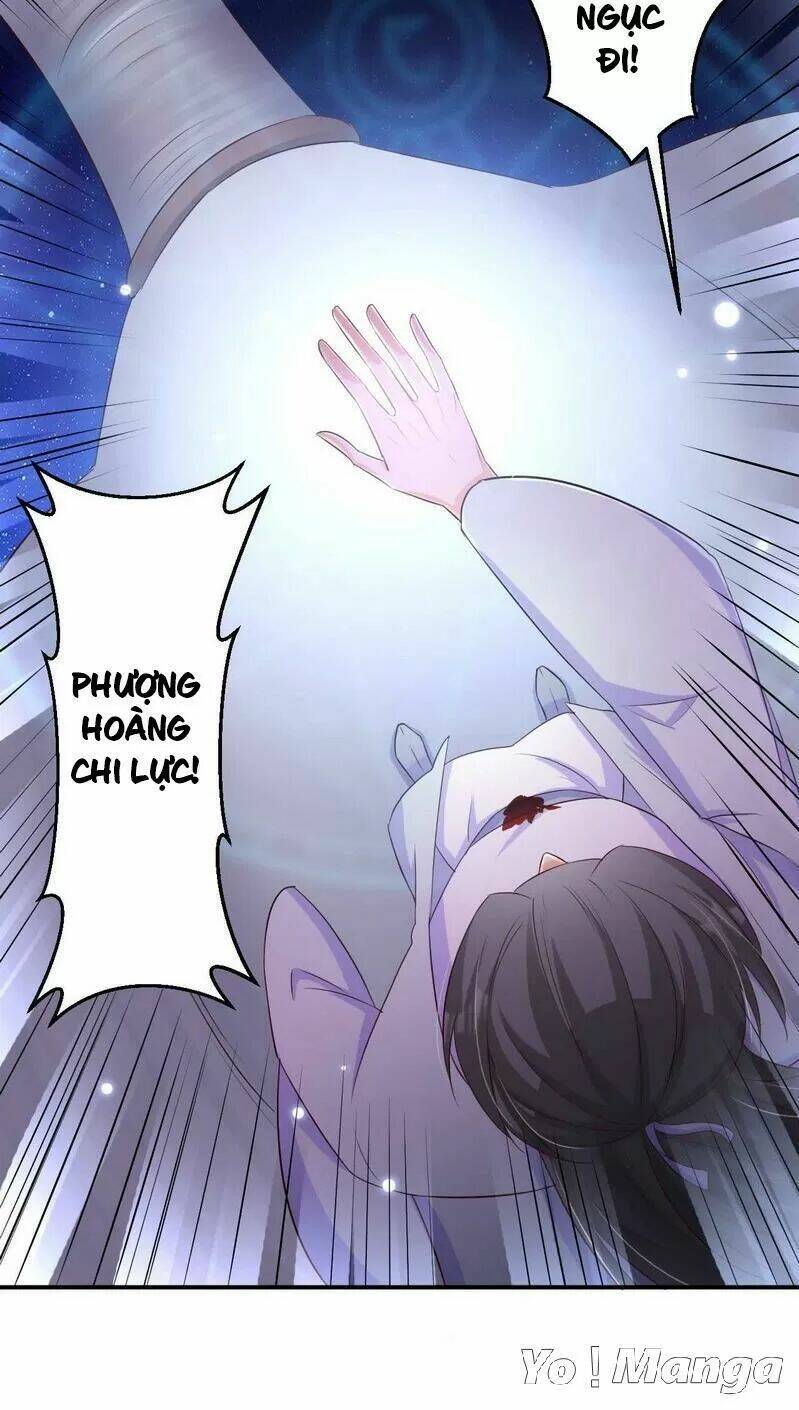 độc y cuồng phi chapter 73 29