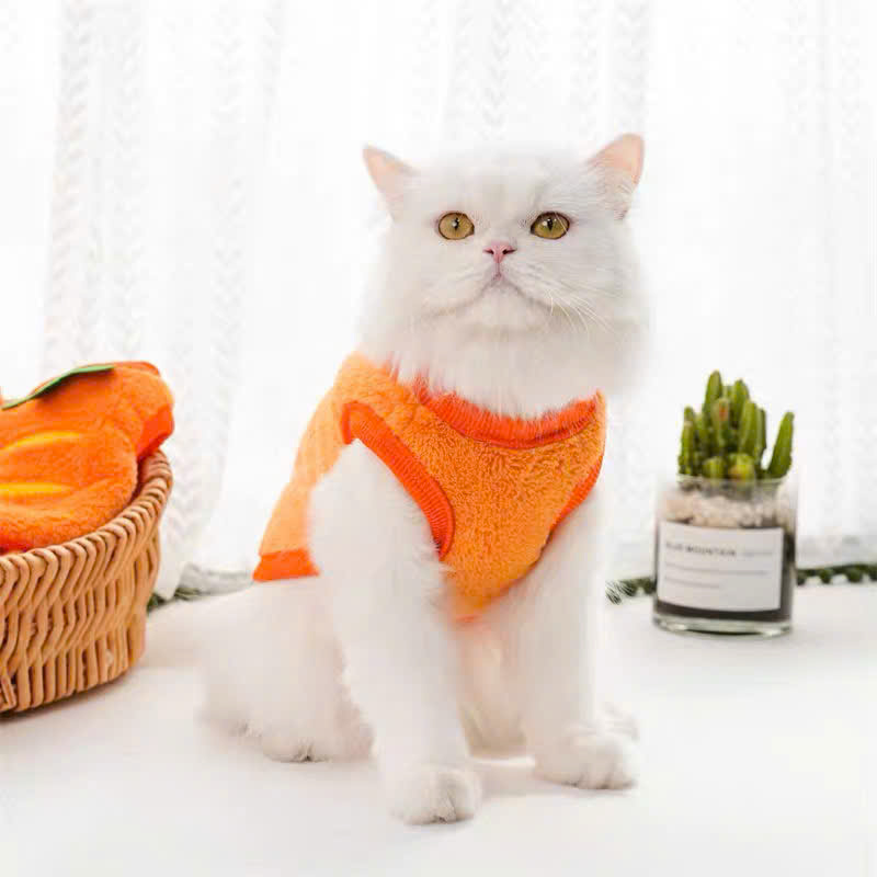 ÁO CÀ RỐT DỄ THƯƠNG CHO THÚ CƯNG CHÓ MÈO