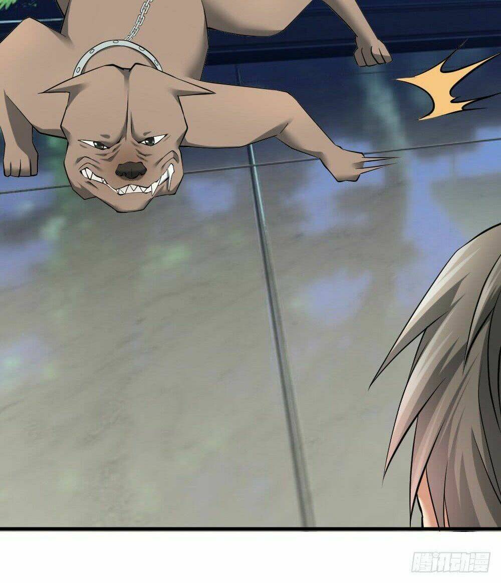 tuyệt thế thiên tài hệ thống chapter 8 16