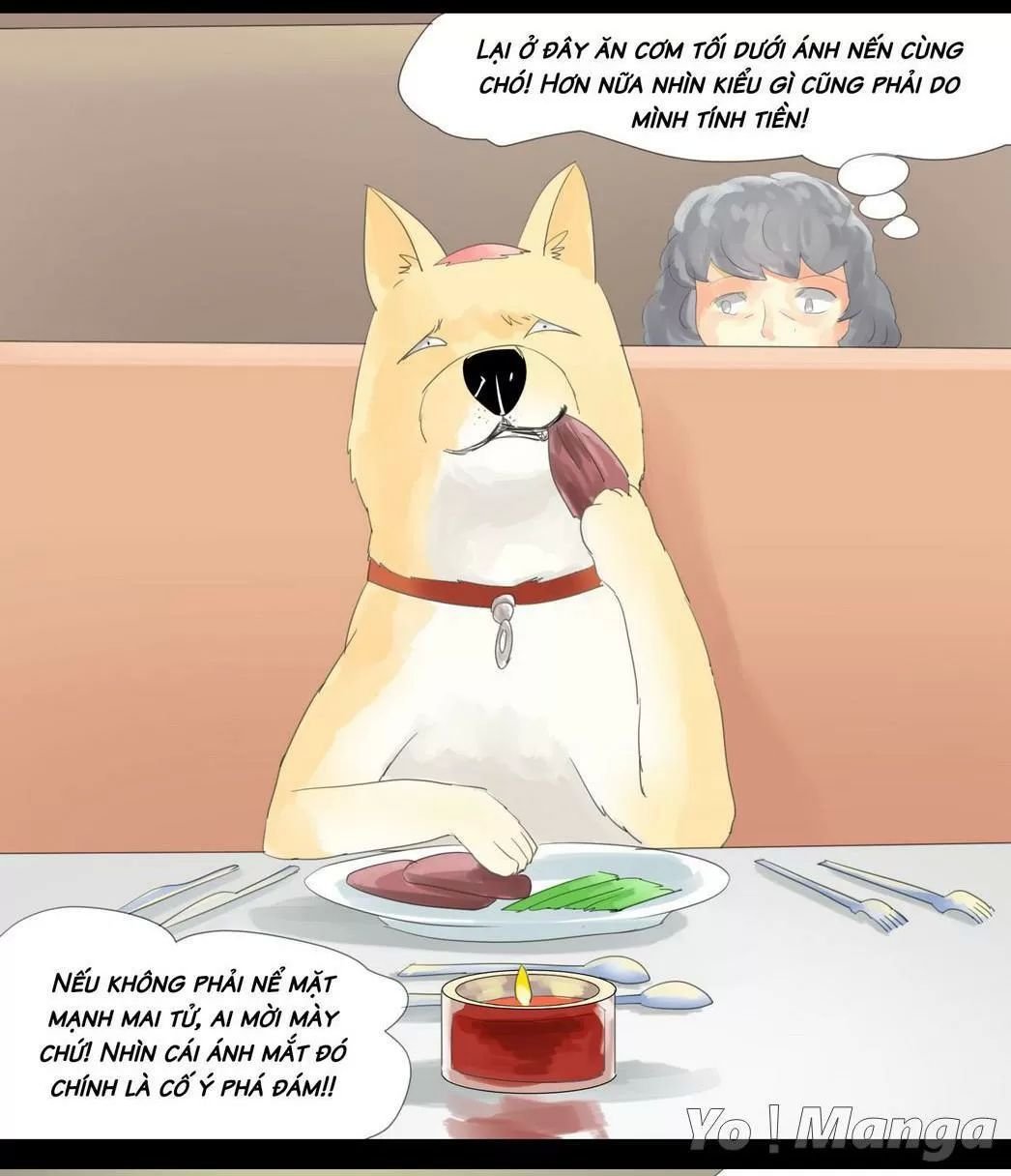 một con chó chapter 45 4