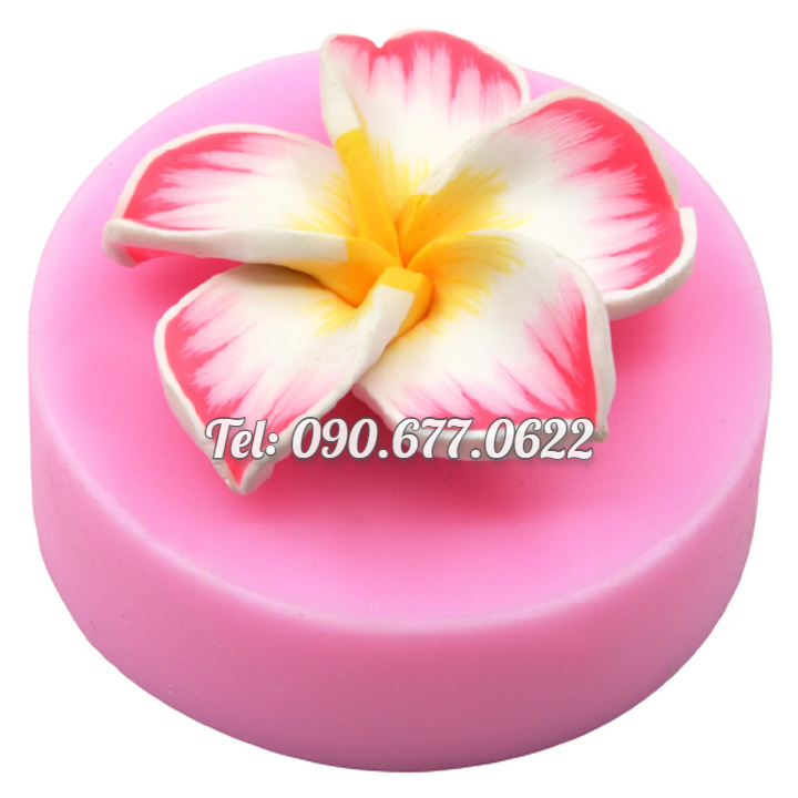 Khuôn silicone làm bánh, rau câu hoa sứ 5 cánh loại 8 cm - Mã số 1608