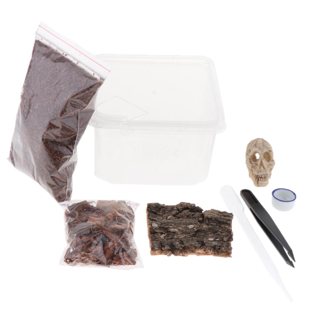 Reptiles Terrariums Feeding Box for Spider Insect Cricket Snail Frog L