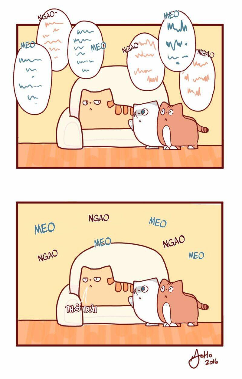 saphie: chú mèo một mắt chapter 15 11