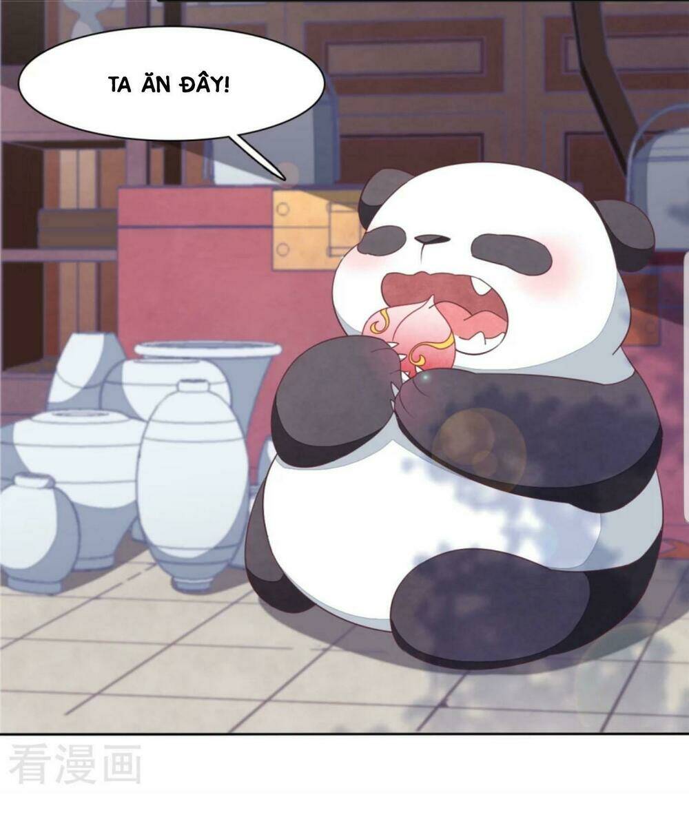 xuyên về cổ đại làm quốc bảo chapter 11 35