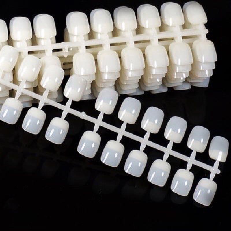 Vỉ Móng Mẫu Form Vuông 240 Móng/Bịch, Nhựa Loại 1 Trong Và Đục, Tập Sơn Vẽ Hoạt Hình, Làm Nail Cho Học Viên Và Thợ Mới Nữ Women