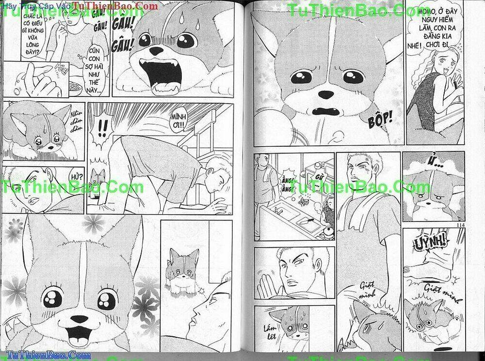 chó con mo mo chapter 1 58