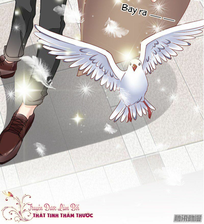 bay qua thiên sơn đến yêu anh chapter 10 19