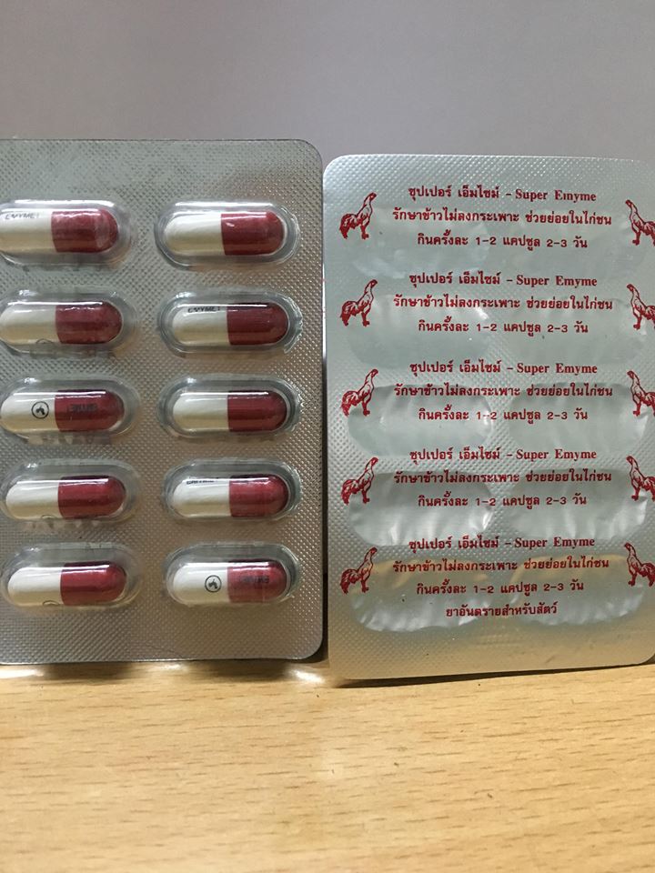 Thuốc chữa chướng dều chậm tiêu cho gà tre gà chọi hàng thái lan