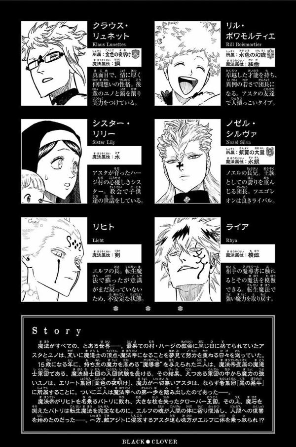 ブラッククローバー 17 - Black Clover Vol. 17