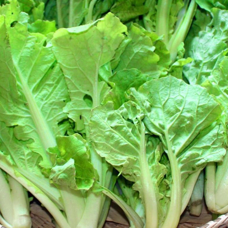 Hạt Giống Cải Bẹ Dún CT338 - Gói 10gram