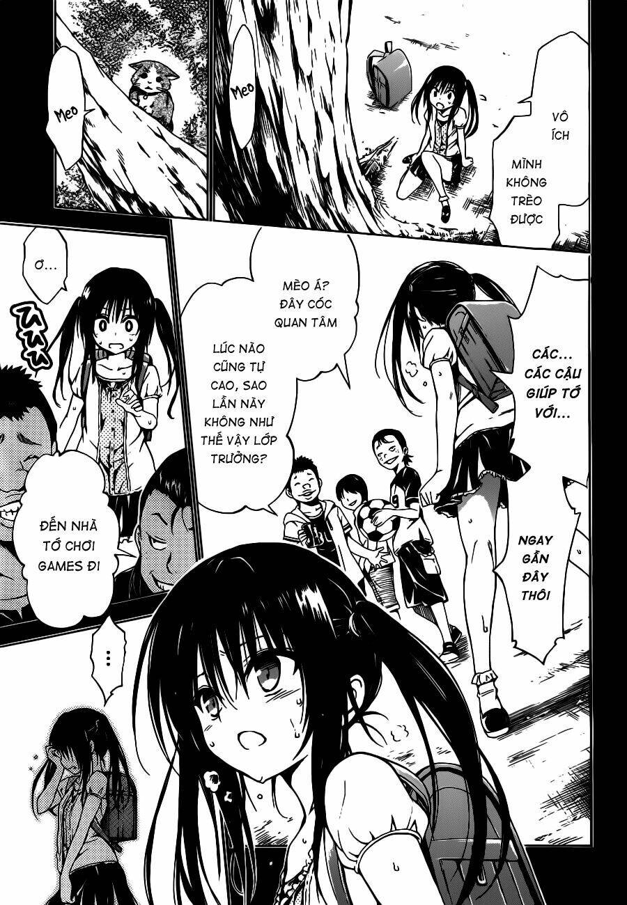 bọn tớ thích cậu! rito 2 - venus chapter 25 28