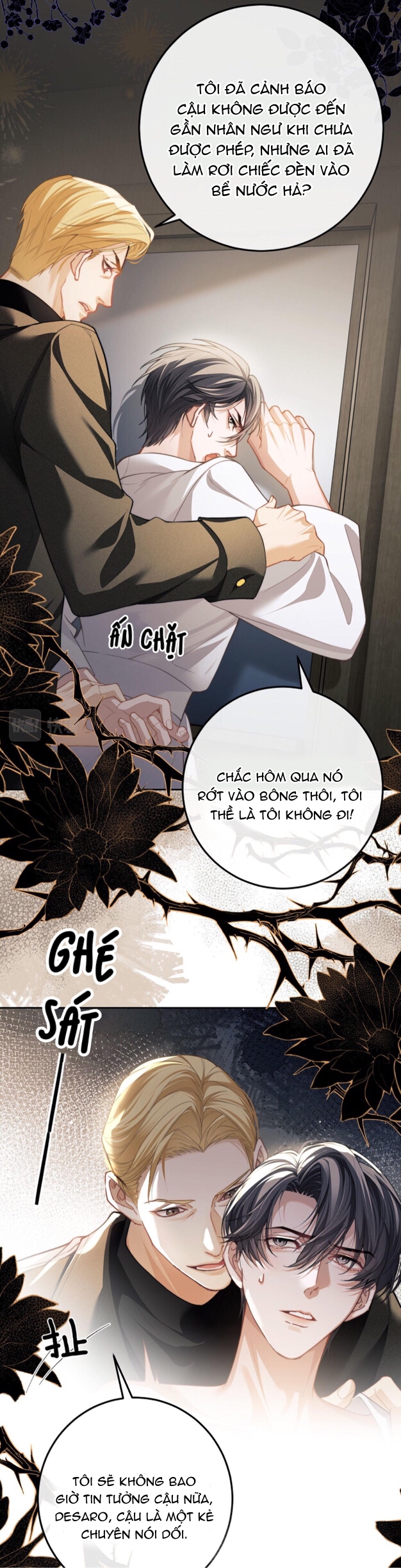 nhân ngư dessaro chapter 5 24