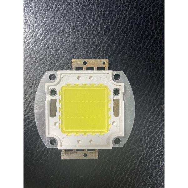 Chip led cob, phjlips lumileds inside 32v-50w - 1500ma , kèm holder chụp nhựa