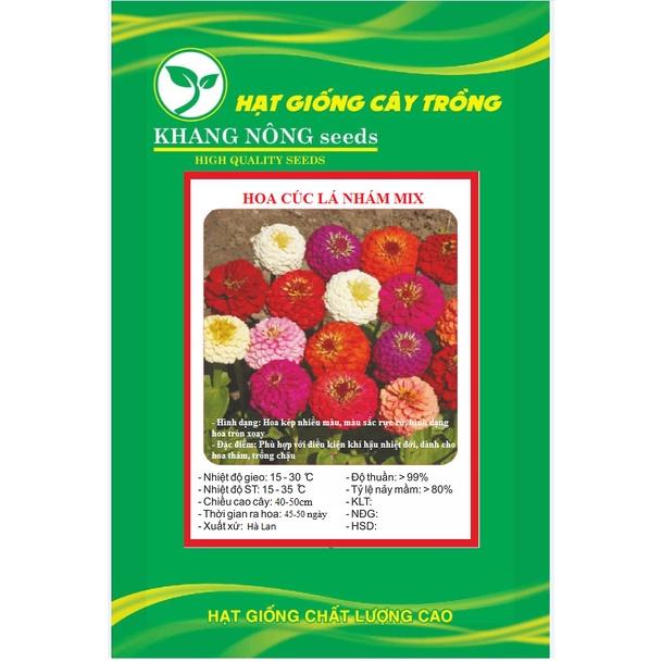 Hạt Giống Hoa Cúc Lá Nhám Mix Màu KNS3578 - Gói 50 hạt