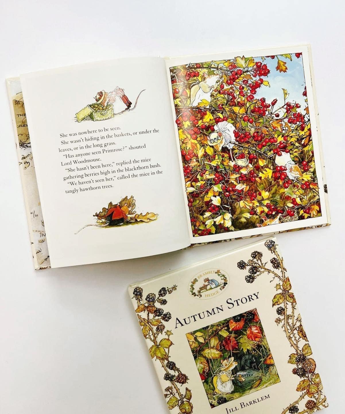 THE BRAMBLY HEDGE LIBRARY COLLECTION -8Q Bìa cứng bản tiếng anh kèm  hộp đựng