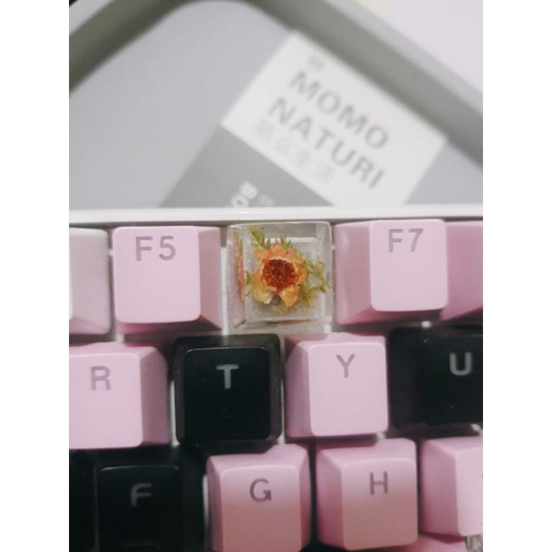 Keycap 1u danhf cho Resin hoa Glixia Brazil - Nút keycap bàn phím cơ trong hình hoa Glixia Brazil