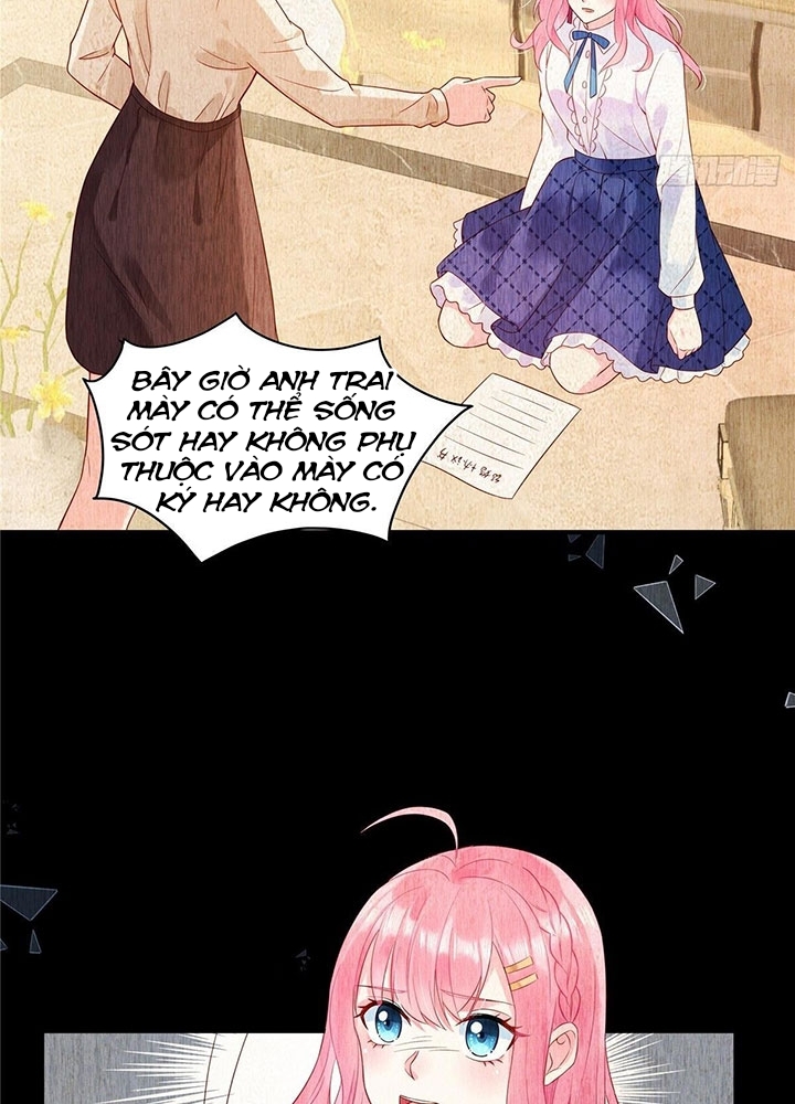 cô thỏ của chủ tịch sói chapter 2 10