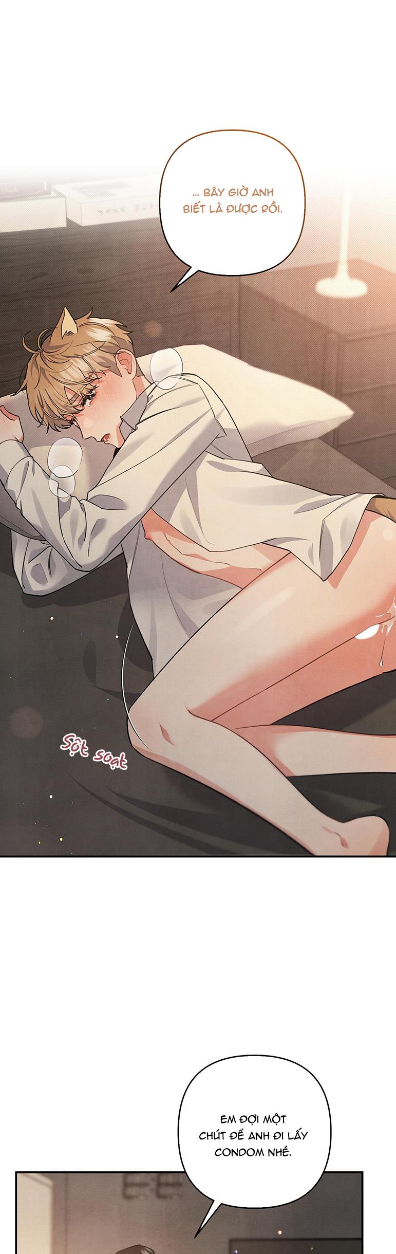 mối quan hệ ngu ngốc chapter 62 12