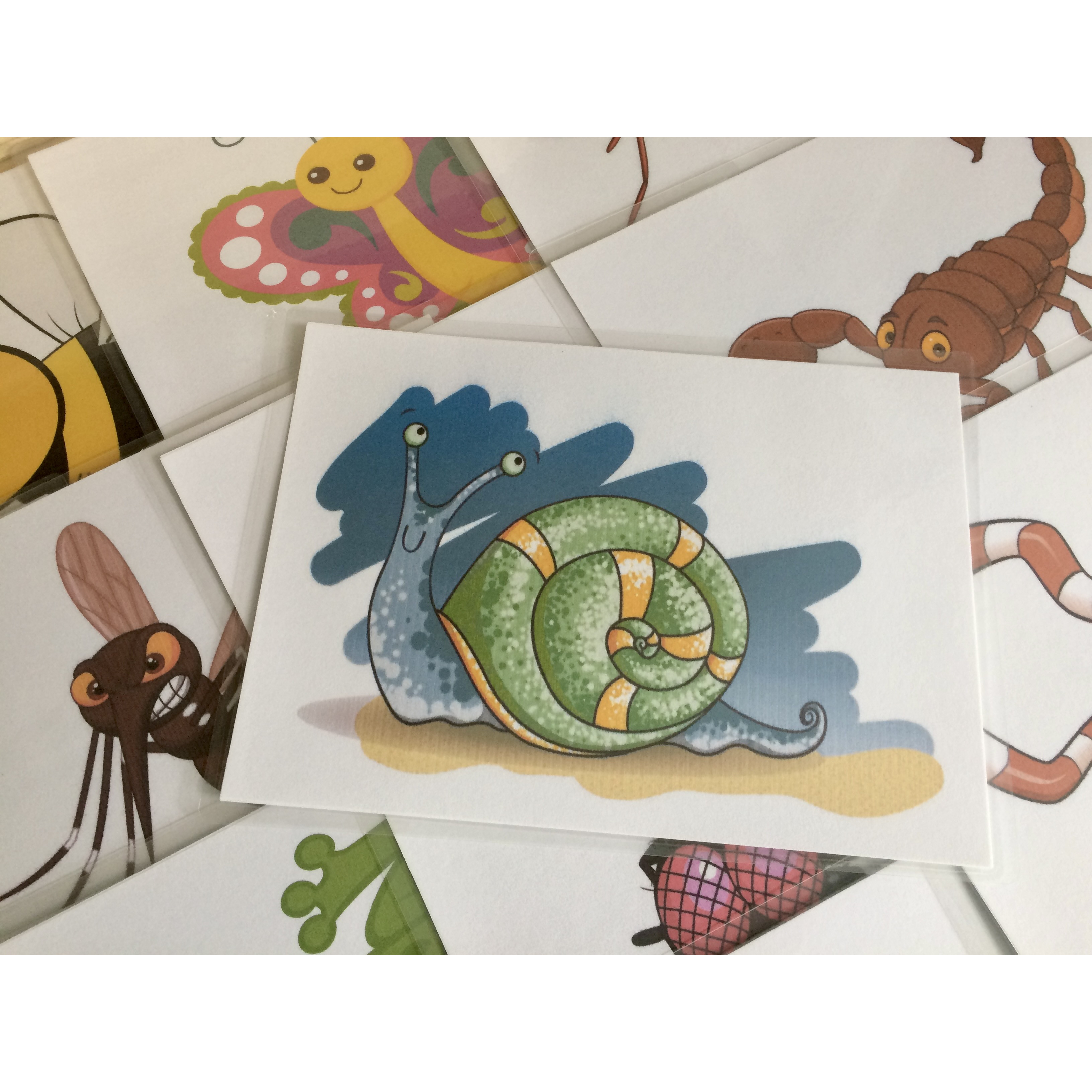 Animal Flashcards: Insect and Reptile - Thẻ học tiếng Anh chủ đề Động vật: Côn trùng và bò sát - 20 cards