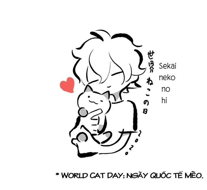 chú mèo kỳ diệu kyuu-chan chapter 800 14
