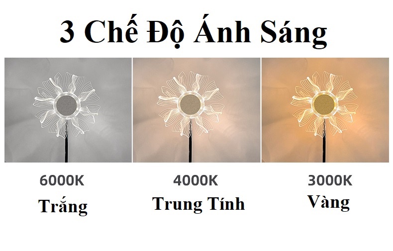 Đèn Bàn Hoa Dướng Dương DB-918 - Cối Xay Gió DB-919 - 3 Chế Độ Ánh Sáng - Decor Trang Trí Phòng Ngủ,Bàn Làm Việc - Có Video