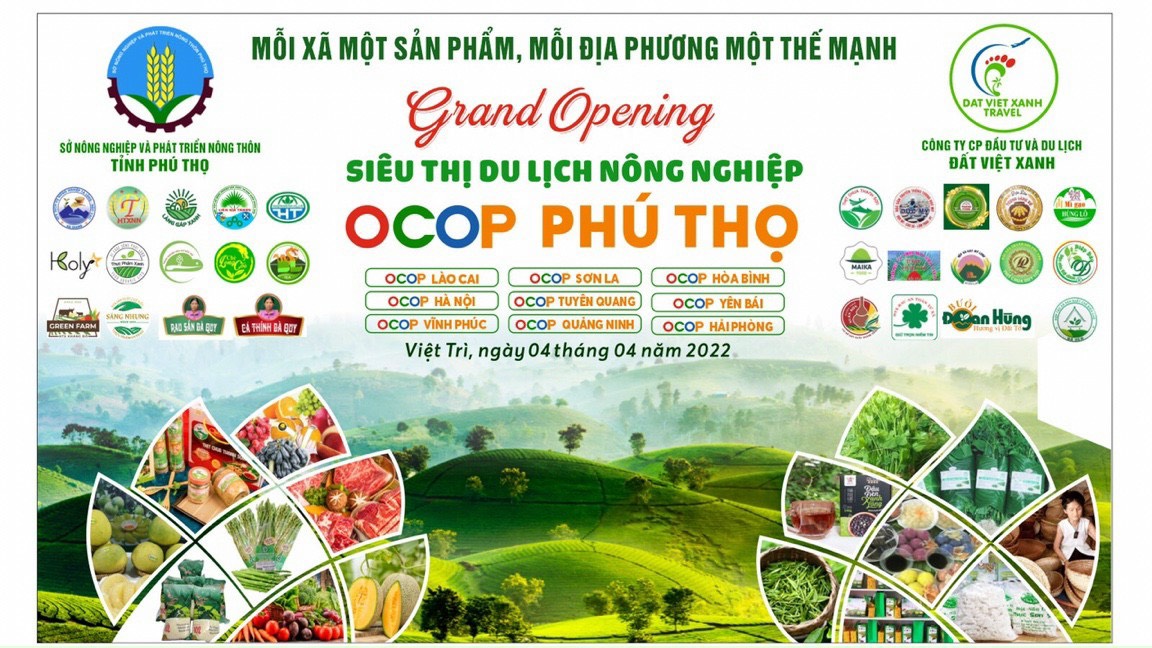 Trà Đinh Lăng MaikaFood - Giúp An Thần, Giảm Stress, Ngủ Ngon Hộp 25 Gói x 5g