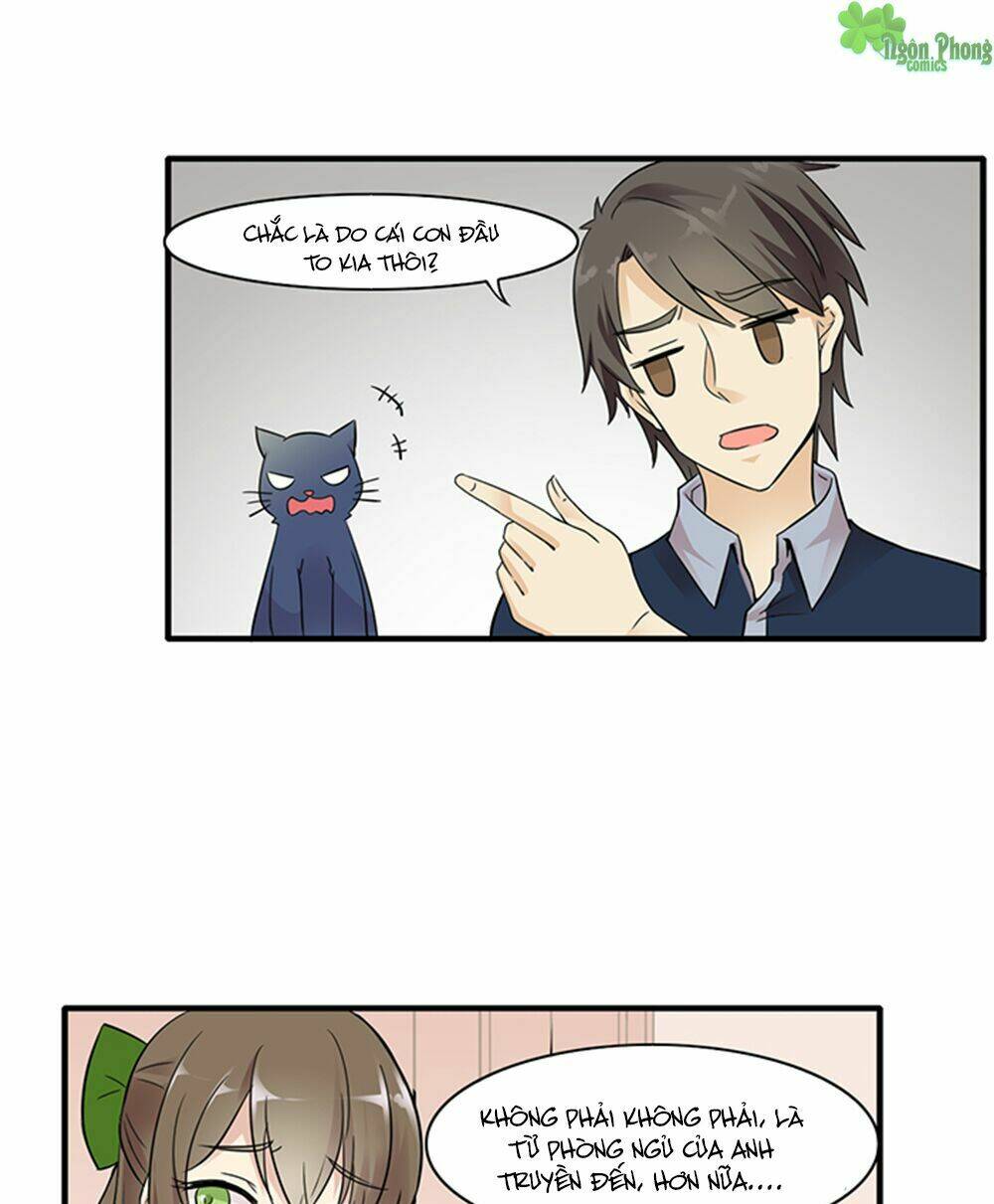 hai chú mèo totem chapter 12 16