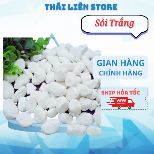 (1 Kg) Sỏi Trắng Cao Cấp Dùng Trải Nền Trang Trí Chậu Cây, Sân Vườn, Bể Cá, Tiểu Cảnh Terrarium