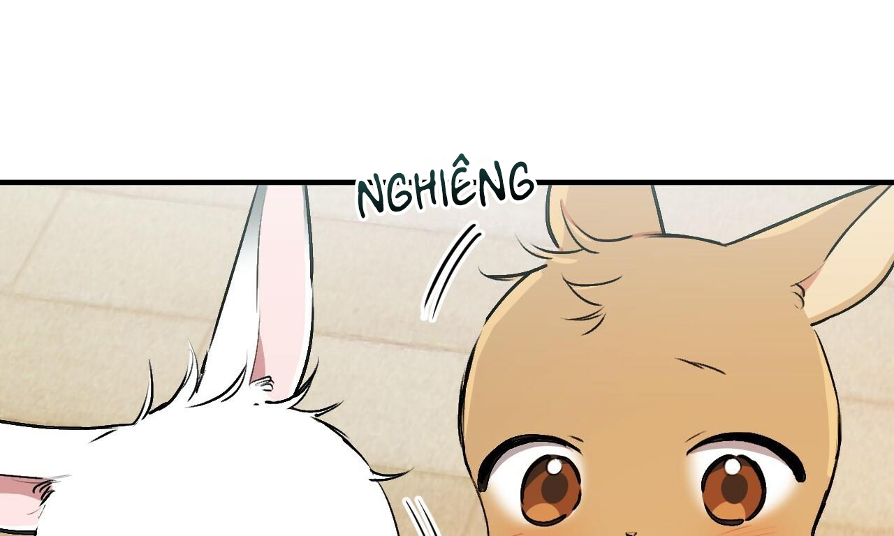 đàn thỏ của habibi chapter 33 256