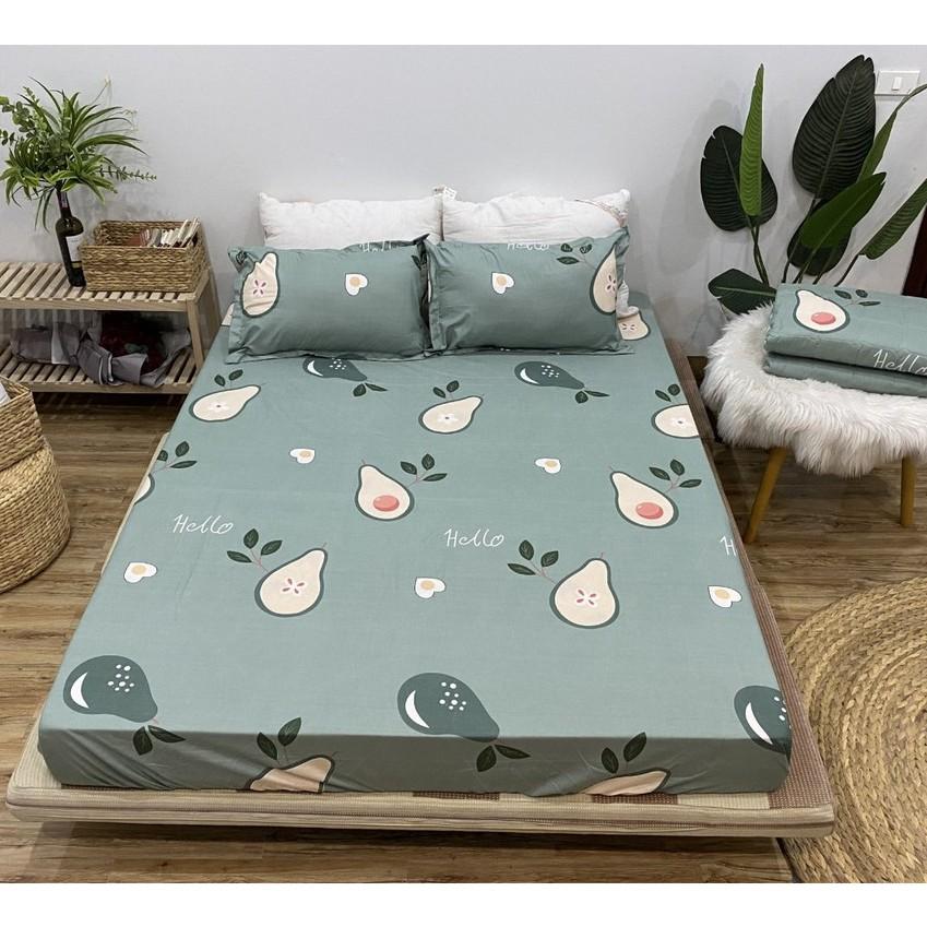 Rẻ vô địch) Xả kho giá gốc bộ ga gối poly cotton
