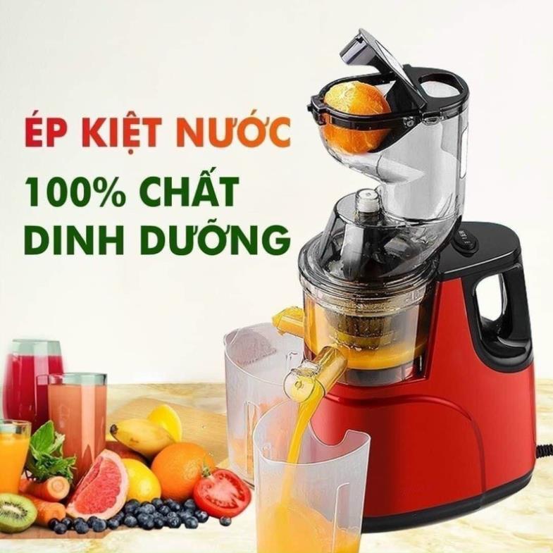 Máy ép hoa quả PLHOME PL-02 hàng chuẩn chất lượng cao(Bảo Hàng 12 Tháng)