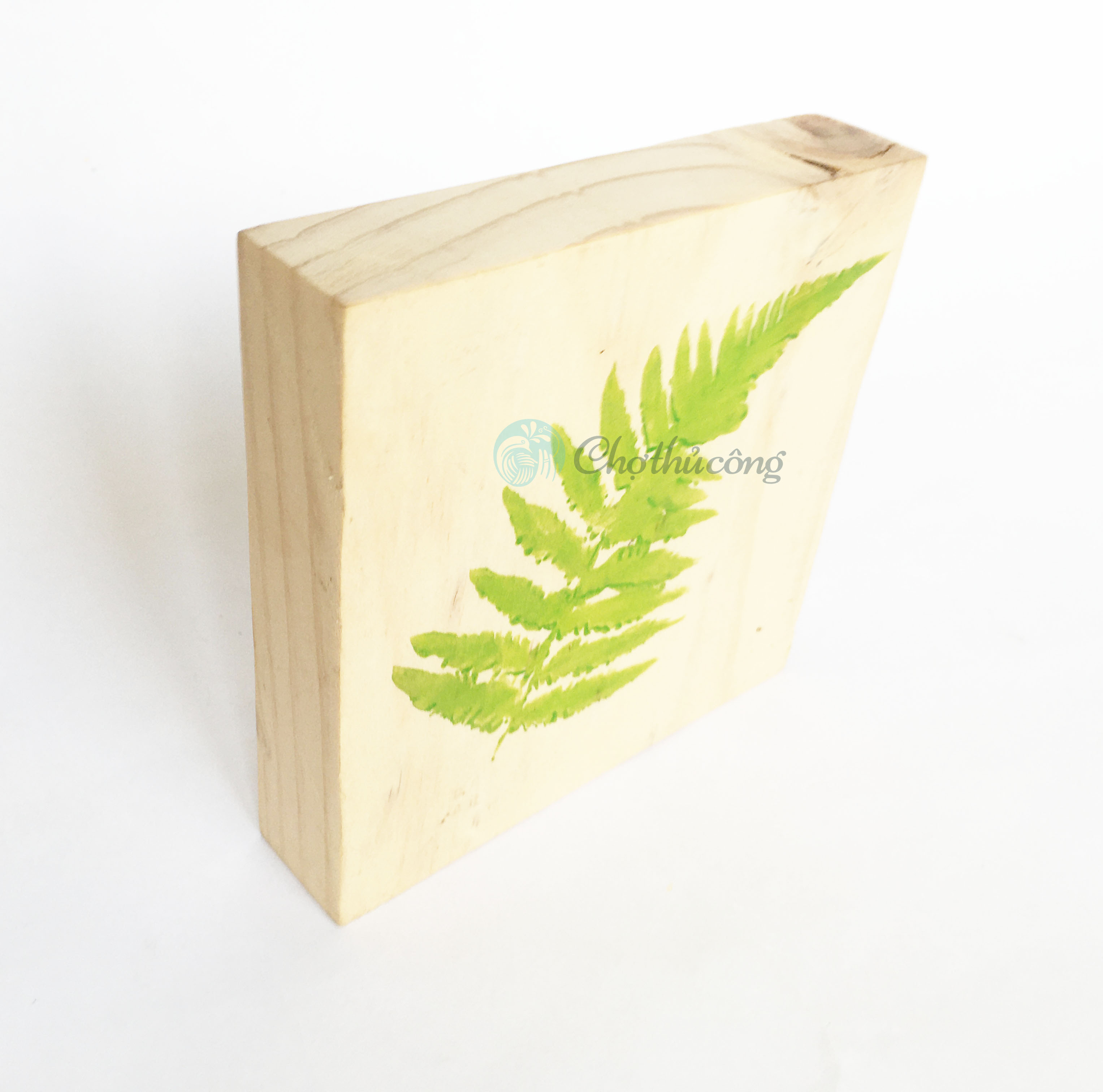 Miếng gỗ thông trơn hình vuông, hình lục giác, hình tròn dày 2cm dùng vẽ tranh decor, bảng treo cửa, bảng gỗ trang trí