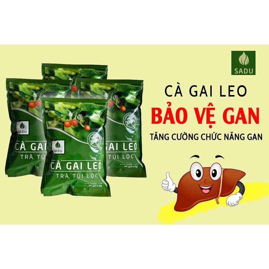 Trà túi lọc Cà Gai Leo Sadu 250g( Bịch 1kg) - Hỗ trợ bảo vệ lá Gan cho cả gia đình bạn