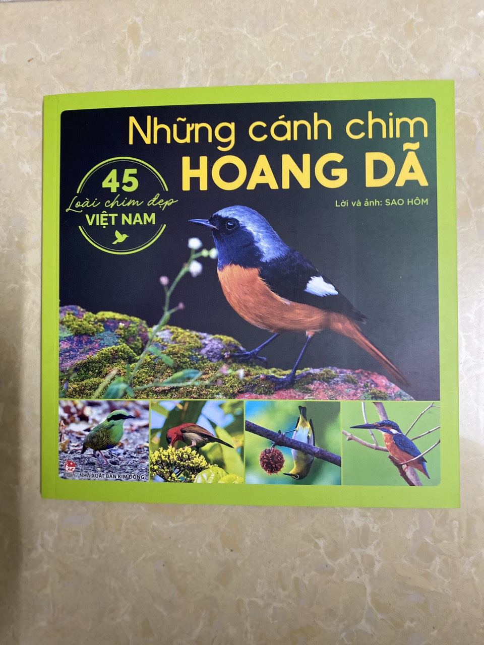 Những cánh chim hoang dã - 45 loài chim đẹp Việt Nam