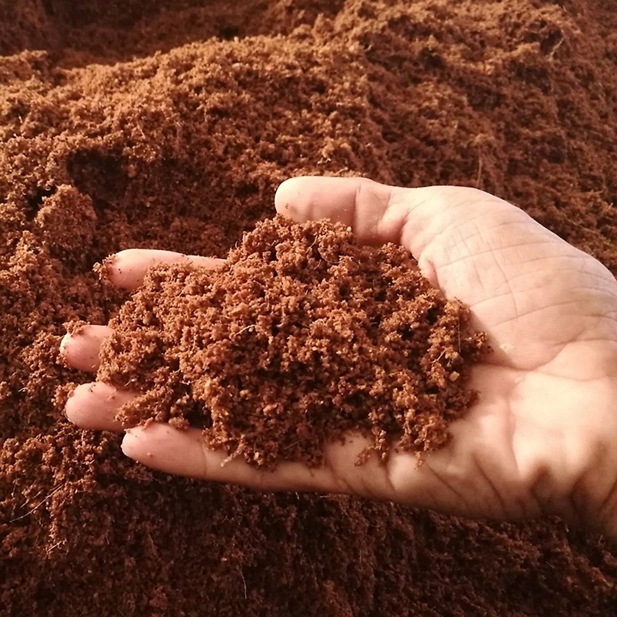 Xơ dừa nhuyễn túi 1 ký