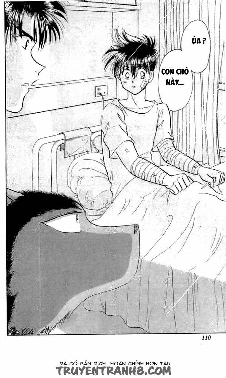 wild half chapter 22 5