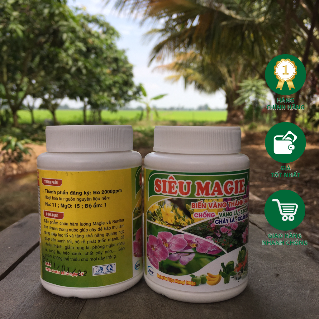 Phân bón lá siêu Magie chai 100 gram - Biến vàng thành xanh, chống vàng lá, bạc lá, xoắn đọt