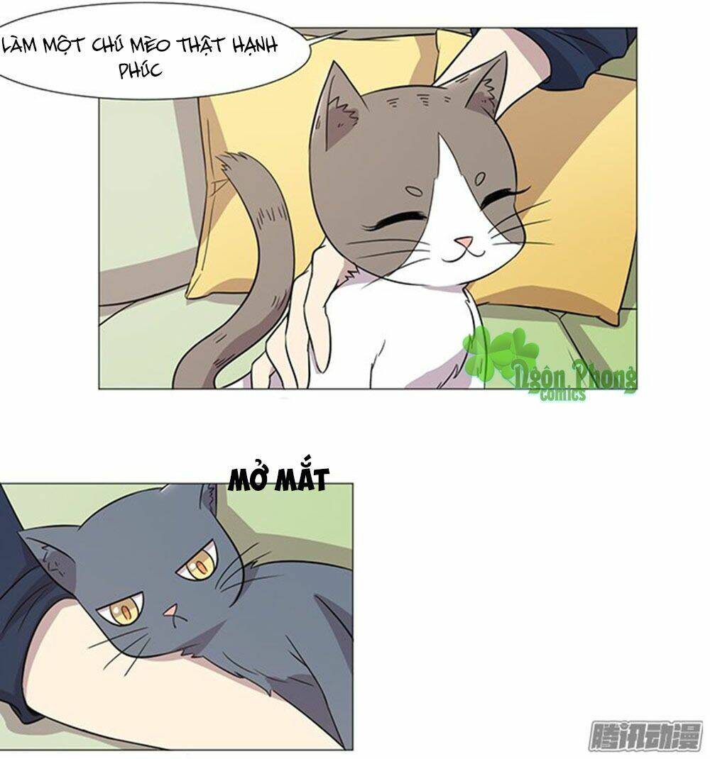 hai chú mèo totem chapter 38 13