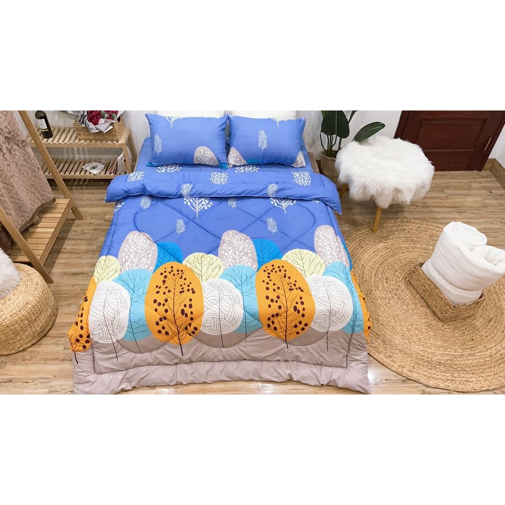 Set phao 5 món siêu rẻ