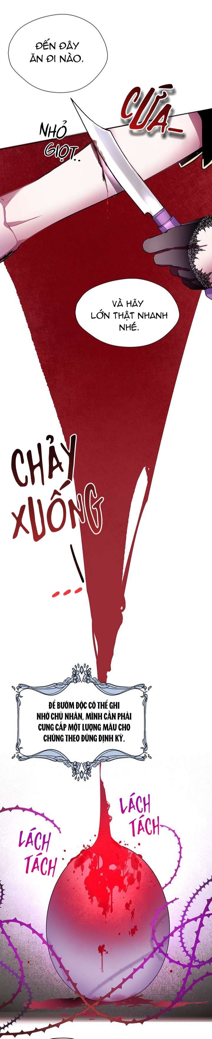 cách để cứu rỗi anh trai của nữ chính chapter 5 6