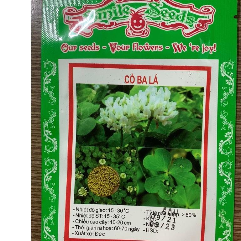 Hạt giống cỏ ba lá - CT517 - Gói 50 hạt