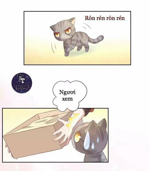 dưới móng vuốt mèo chapter 20 11