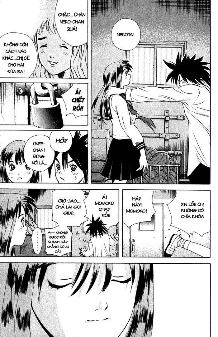 parallel chapter 17 41