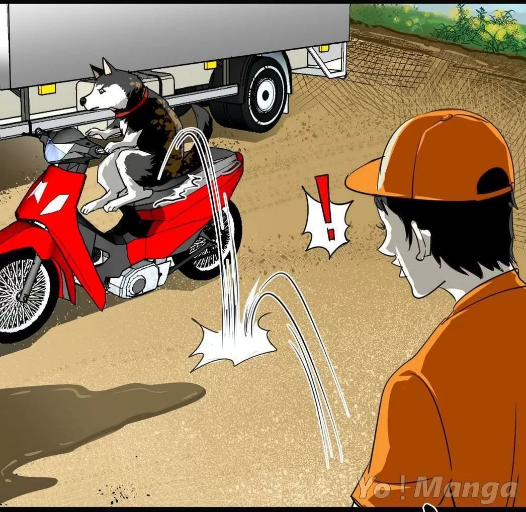 một con chó chapter 61 5